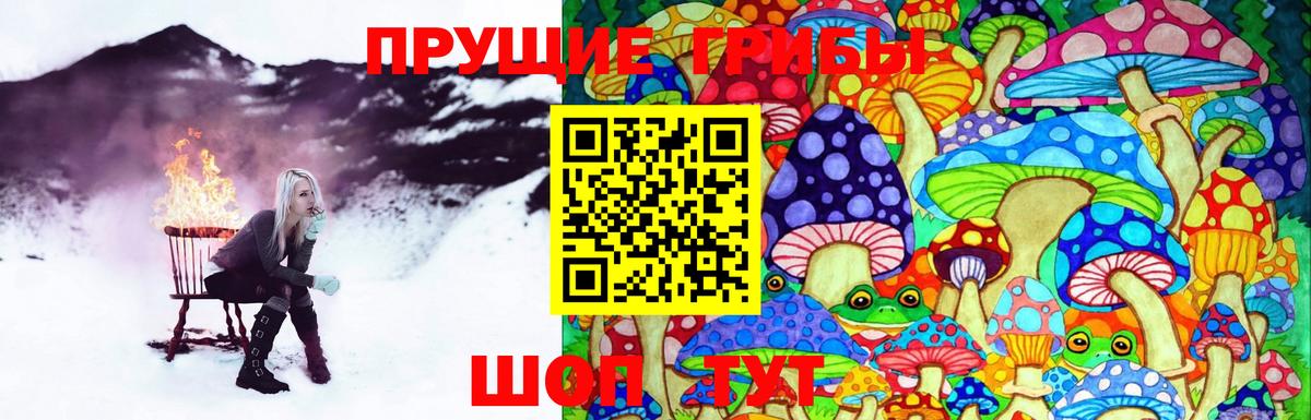 где продают наркотики  Псилоцибиновые грибы Magic Shrooms  Вход с VPN  Чистополь 