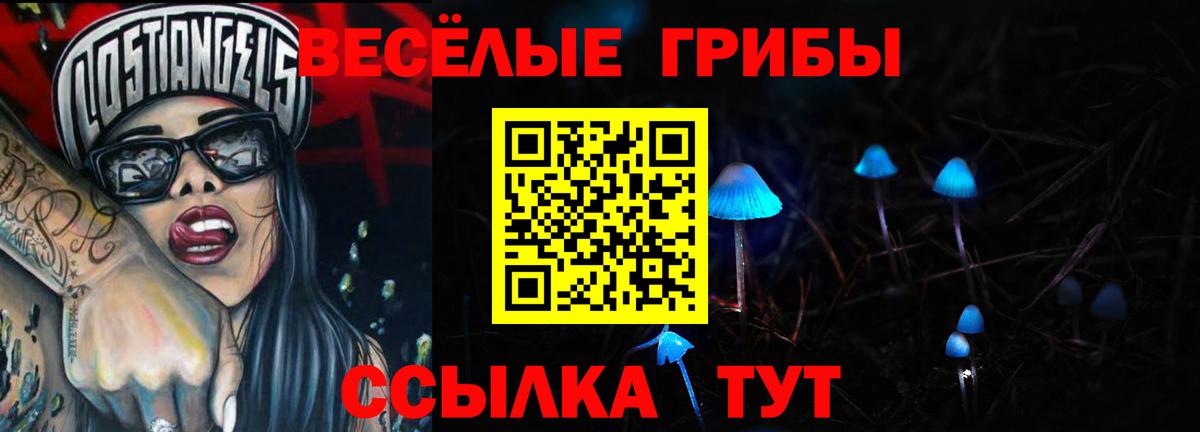 Галлюциногенные грибы GOLDEN TEACHER Чистополь